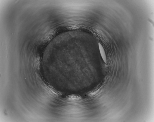 X0000094960223200712271727