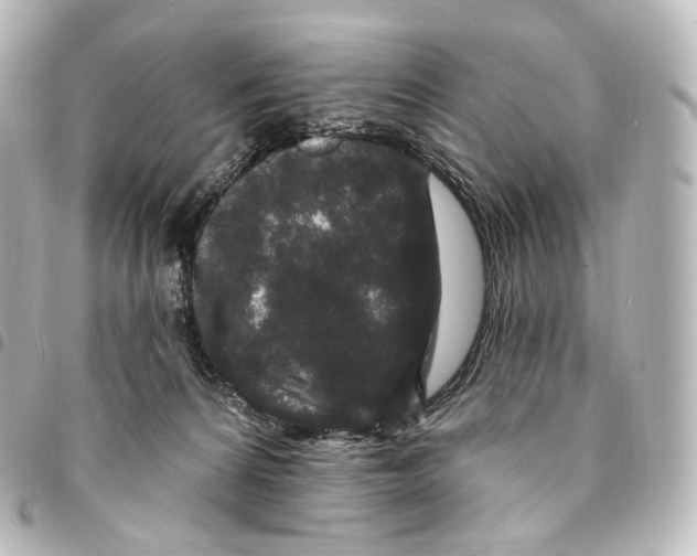 X0000094960224200712271727
