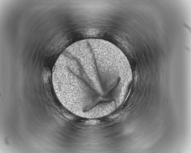 X0000094960225200712271727