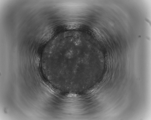 X0000094960227200712271726
