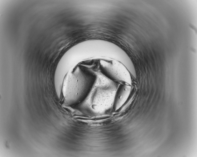 X0000094960228200712271726