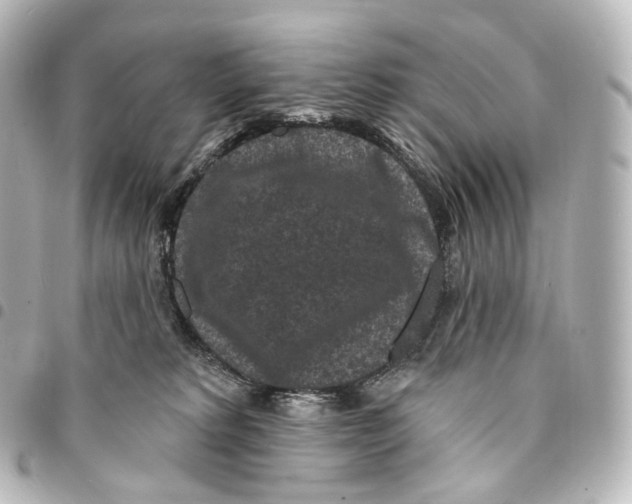 X0000094960229200712271726