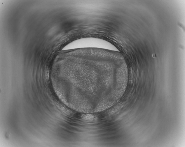 X0000094960230200712271726