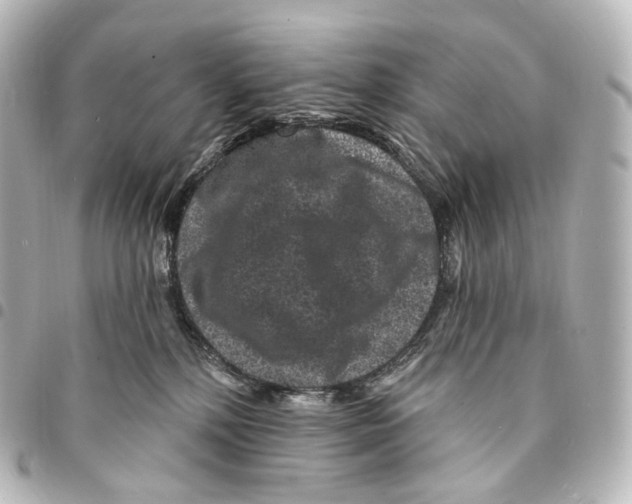 X0000094960232200712271726