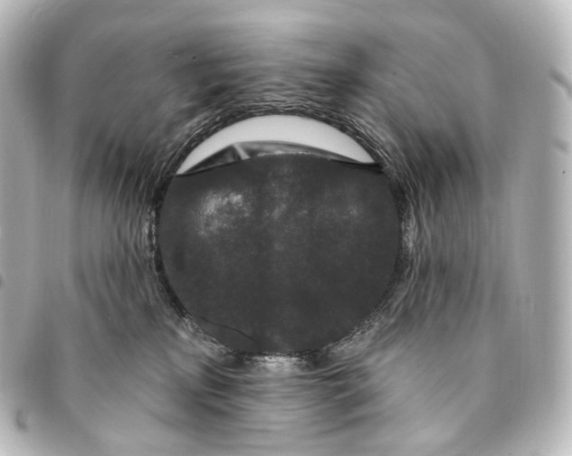 X0000094960233200712271726