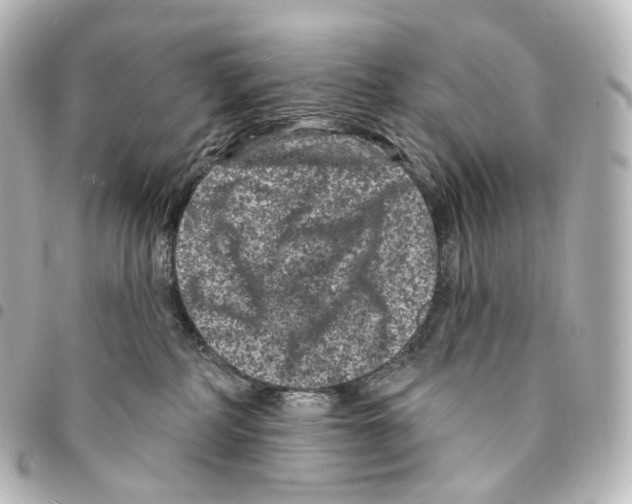 X0000094960234200712271726