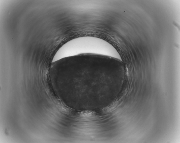 X0000094960235200712271726