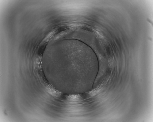X0000094960237200712271726
