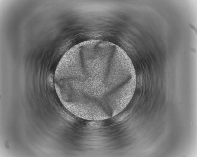 X0000094960238200712271726