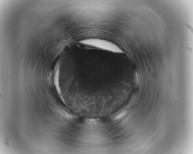X0000094960239200712271726