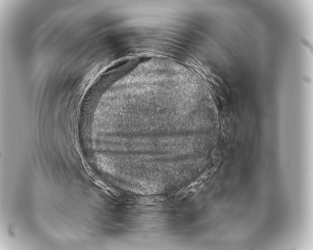X0000094960241200712271726