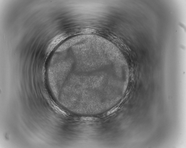 X0000094960242200712271726