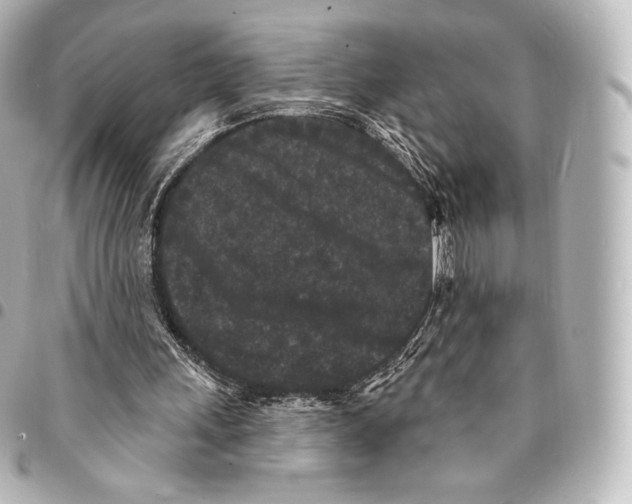 X0000094960243200712271726