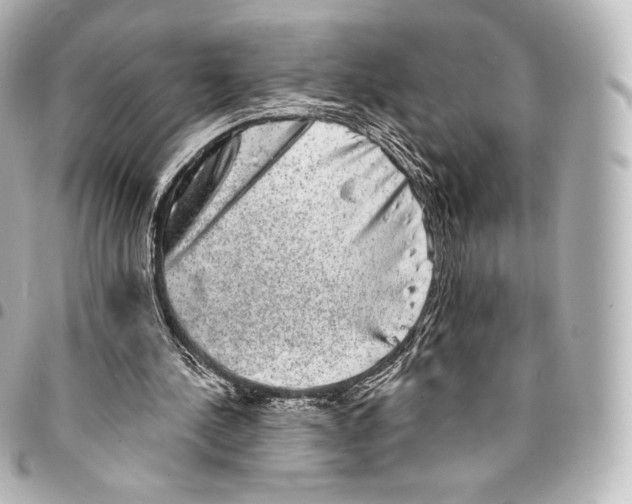 X0000094960244200712271726