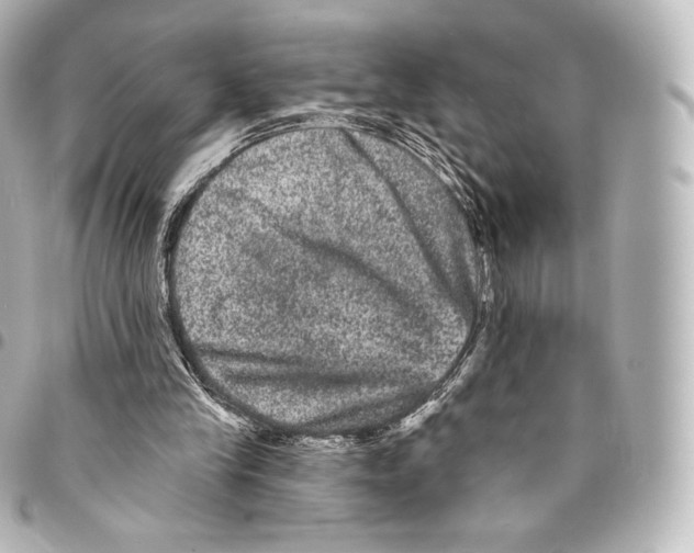 X0000094960245200712271726