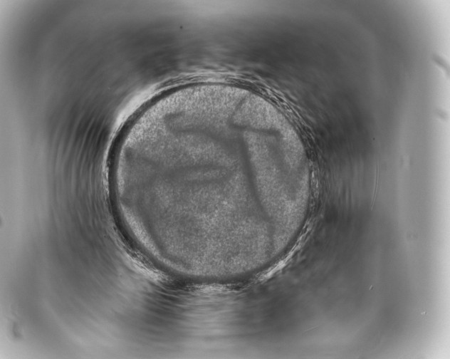 X0000094960246200712271726