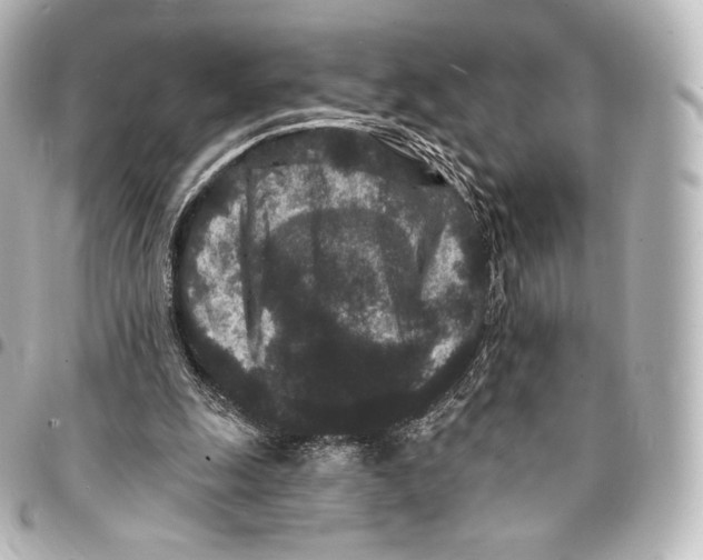 X0000094960247200712271726