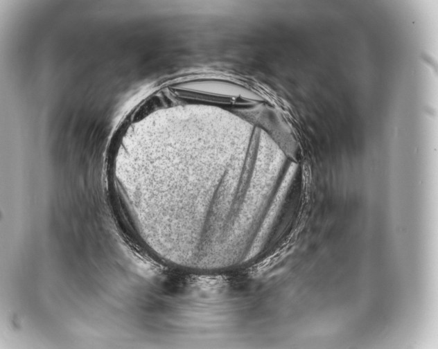 X0000094960248200712271726