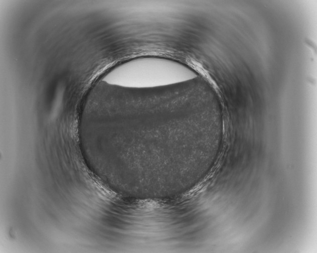 X0000094960249200712271726