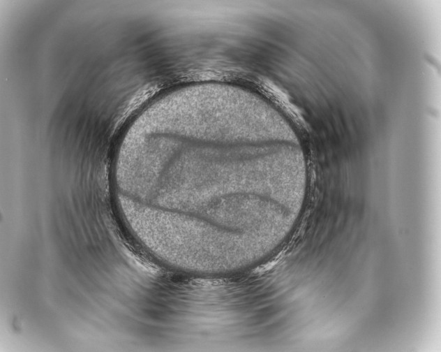 X0000094960250200712271726