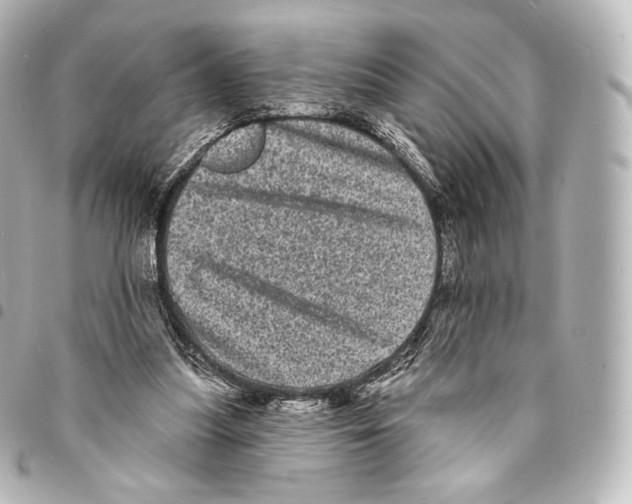 X0000094960251200712271726