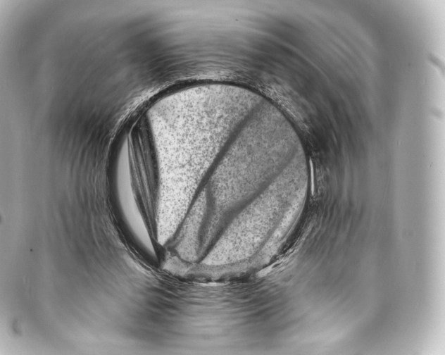 X0000094960252200712271726