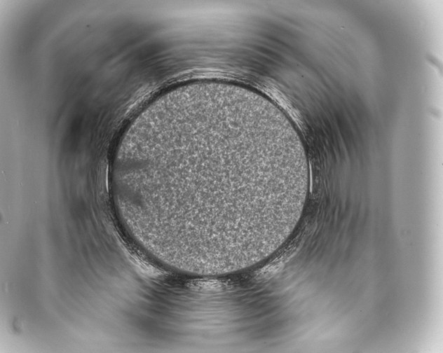 X0000094960253200712271726