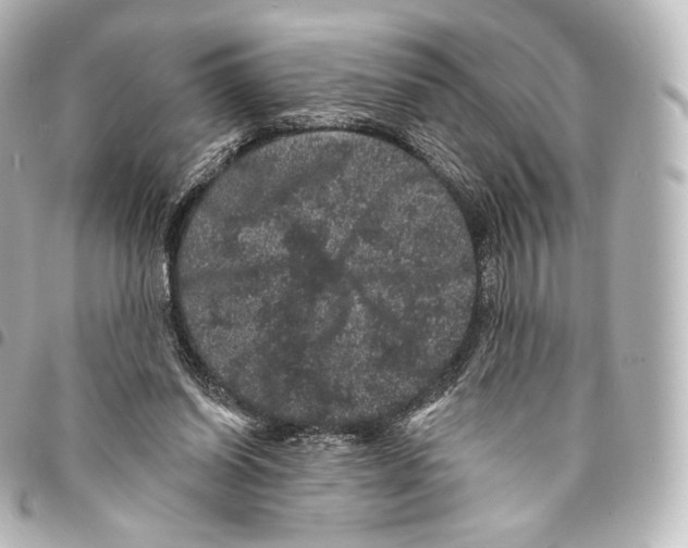 X0000094960254200712271726
