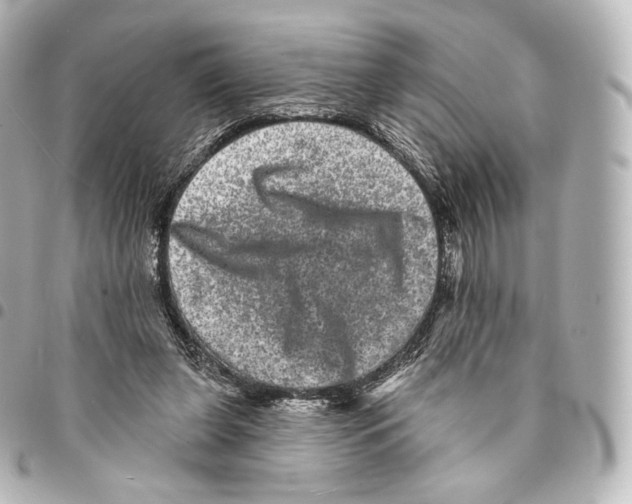 X0000094960255200712271726