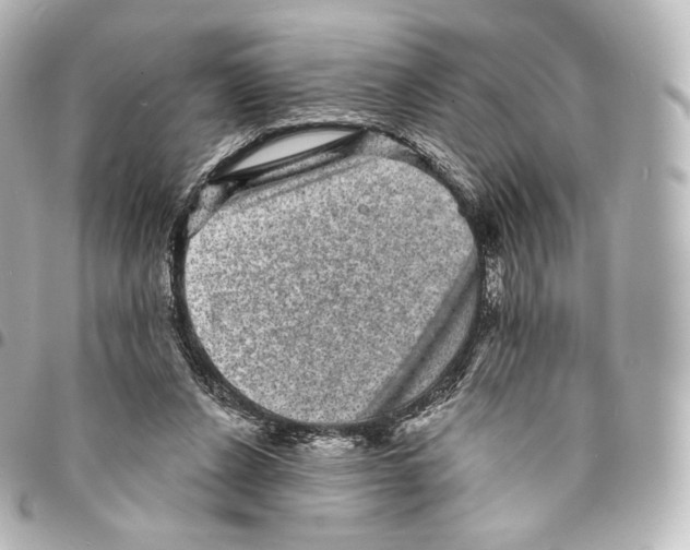 X0000094960256200712271726