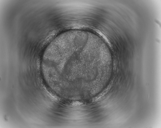 X0000094960257200712271726