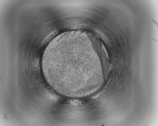 X0000094960258200712271726