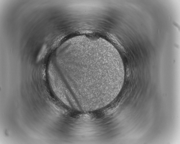 X0000094960259200712271726