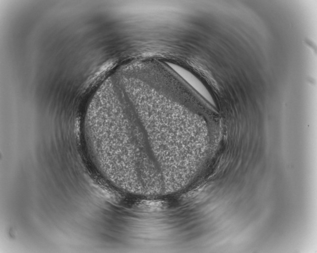 X0000094960260200712271726