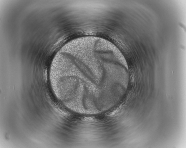 X0000094960262200712271726