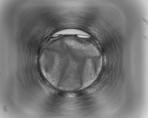 X0000094960263200712271726
