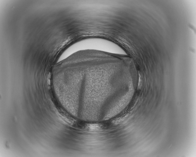 X0000094960264200712271726