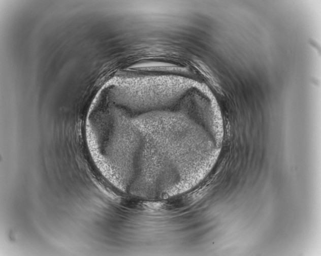 X0000094960265200712271726