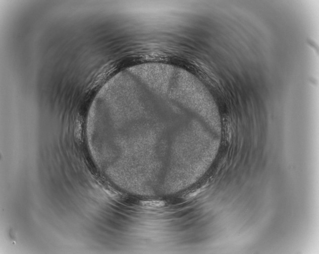 X0000094960266200712271726