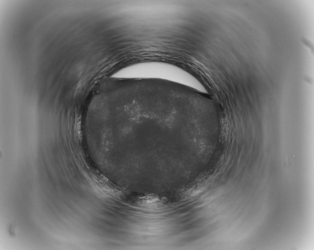 X0000094960267200712271726