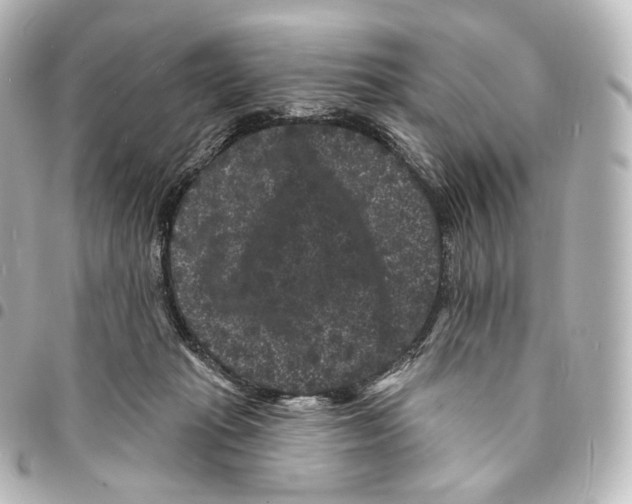 X0000094960269200712271726