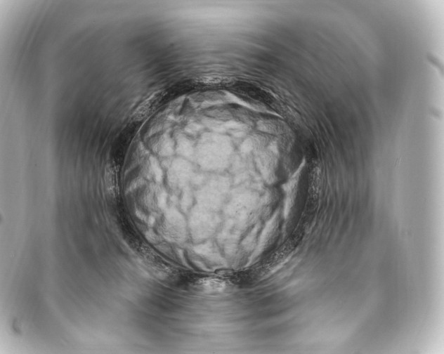 X0000094960272200712271726