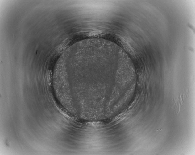X0000094960273200712271726