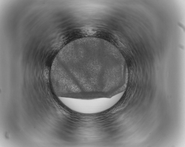 X0000094960274200712271726