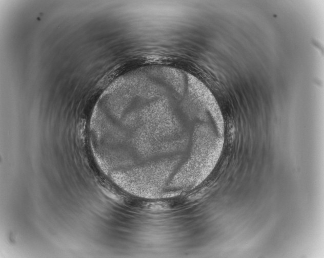 X0000094960275200712271726