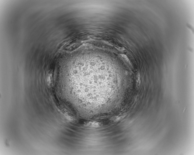 X0000094960276200712271726