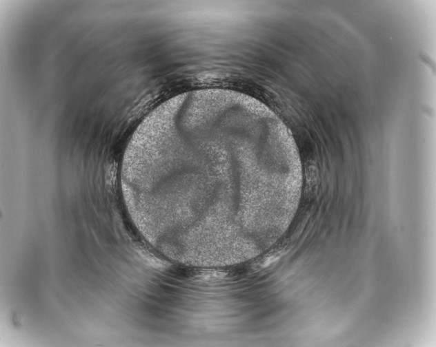 X0000094960278200712271726