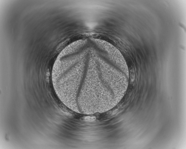 X0000094960279200712271726