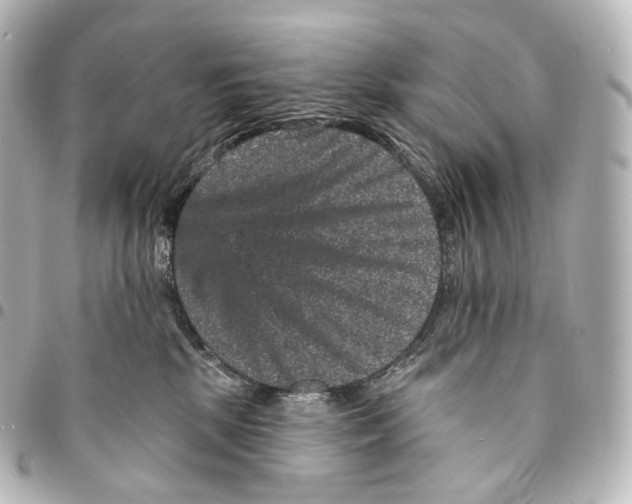 X0000094960281200712271726