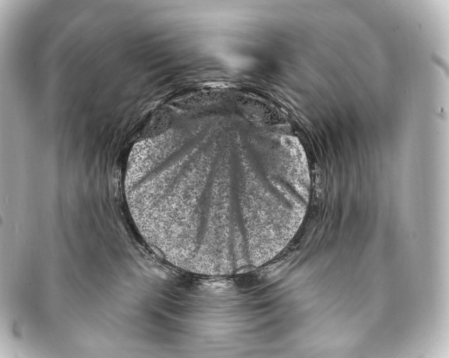 X0000094960283200712271726